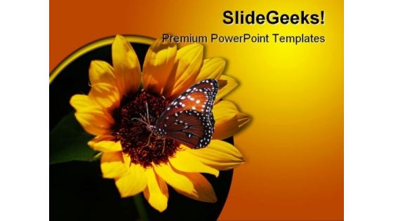 Miniature Sunflower Beauty PowerPoint Themes And PowerPoint Slides 0211