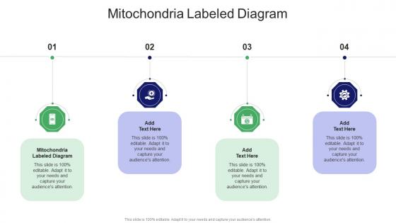 Mitochondria Labeled Diagram In Powerpoint And Google Slides Cpb Mitochondria Labeled Diagram In Powerpoint And Google Slides Cpb