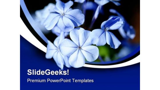 Moonlight Blue Flowers Beauty PowerPoint Templates And PowerPoint Backgrounds 0311