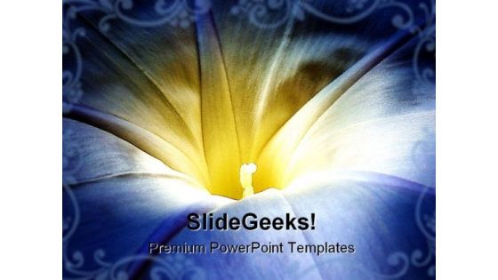Morning Glory Beauty PowerPoint Background And Template 1210