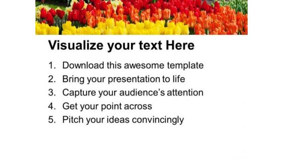 Multi Color Beautiful Flowers Nature PowerPoint Templates Ppt Backgrounds For Slides 1212