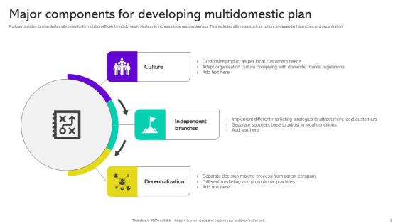 Multidomestic Plan Ppt PowerPoint Presentation Complete Deck With Slides