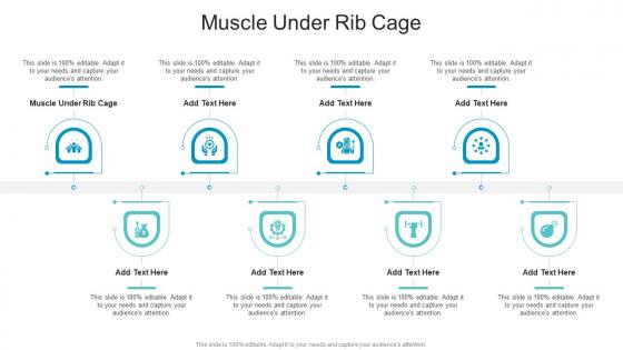 Muscle Under Rib Cage In Powerpoint And Google Slides Cpb