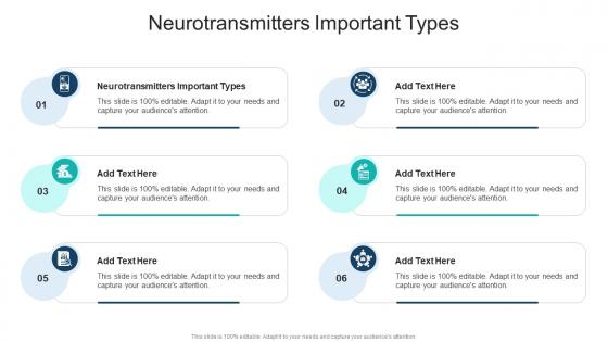 Neurotransmitters Important Types In Powerpoint And Google Slides Cpb