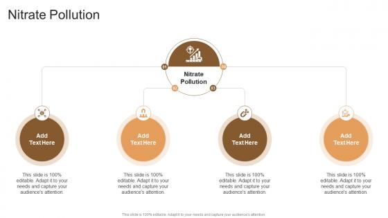Nitrate Pollution In Powerpoint And Google Slides Cpb