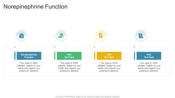 Norepinephrine Function In Powerpoint And Google Slides Cpb