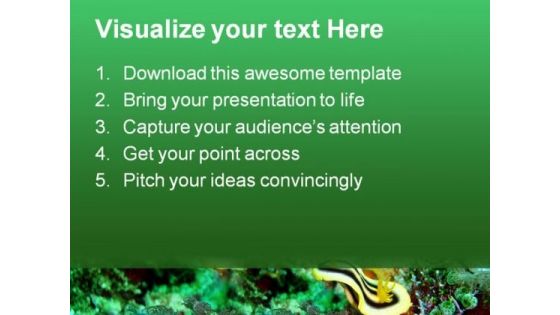 Nudibranch Underwater Animals PowerPoint Templates And PowerPoint Backgrounds 0611
