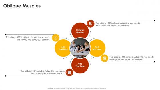 Oblique Muscles In Powerpoint And Google Slides Cpb