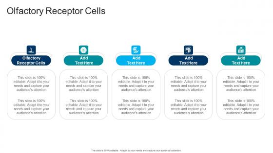 Olfactory Receptor Cells In Powerpoint And Google Slides Cpb