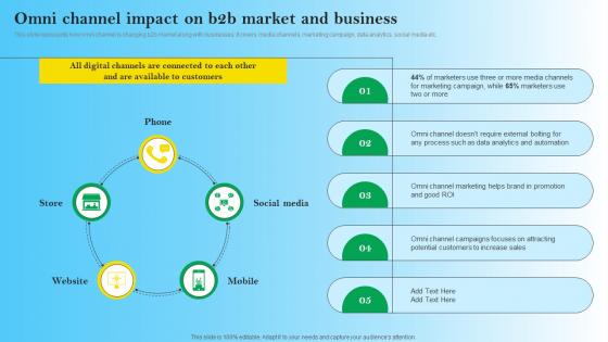 Omni Channel Impact On B2B Market And Business B2B Digital Commerce Formats Pdf