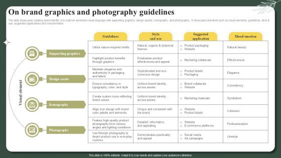 On Brand Graphics And Photography Guidelines Successful Launch Ppt Sample