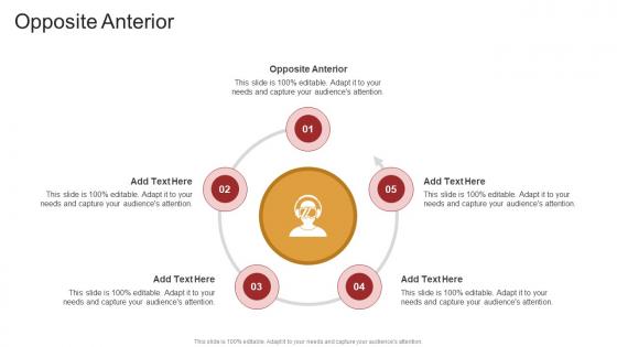Opposite Anterior In Powerpoint And Google Slides Cpb