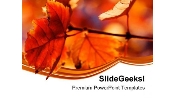 Orange Leaves Nature PowerPoint Themes And PowerPoint Slides 0611