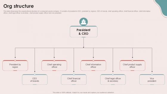 Org Structure Personal Care Company Investor Ppt Example