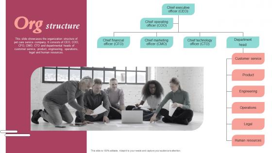 Org Structure Pet Care Company Investor Funding Elevator Pitch Deck Information Pdf