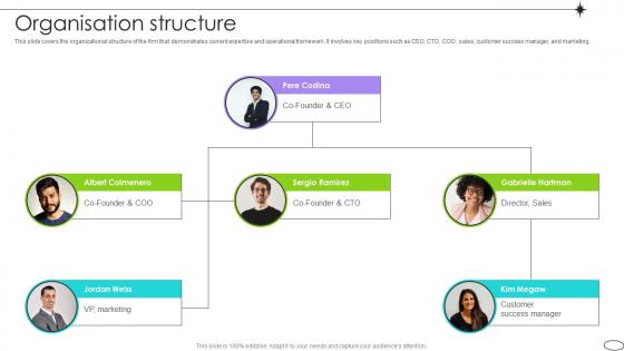 Organisation Structure Competitive Landscape Analysis Platform Pitch Deck