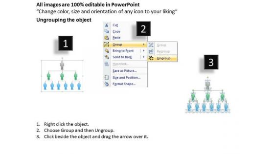 Organization Chart 9 Stages Management Sales Ppt Company Business Plan PowerPoint Slides