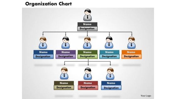 Organization Chart Business PowerPoint Presentation
