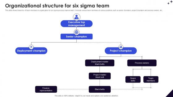 Organizational Structure For Six DMAIC Methodology To Maintain PPT Slide