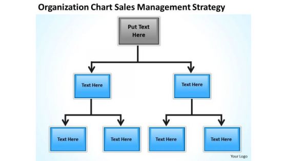 Organization Chart Sales Management Strategy Ppt Business Plan PowerPoint Slides