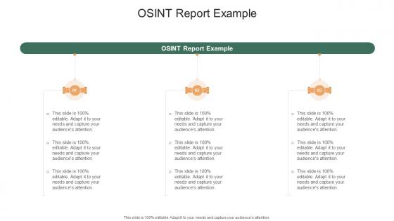 Osint Report Example In Powerpoint And Google Slides Cpb Osint Report Example In Powerpoint And Google Slides Cpb