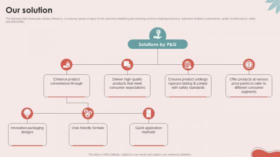 Our Solution Personal Care Company Investor Ppt Sample