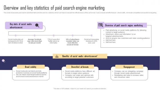 Paid Internet Marketing Strategy Overview And Key Paid Search Engine Marketing Designs Pdf
