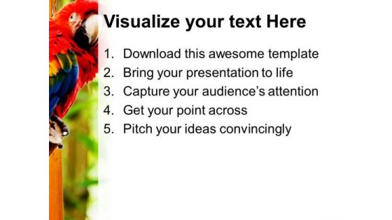 Pair Of Parrot Animals PowerPoint Templates And PowerPoint Themes 0512