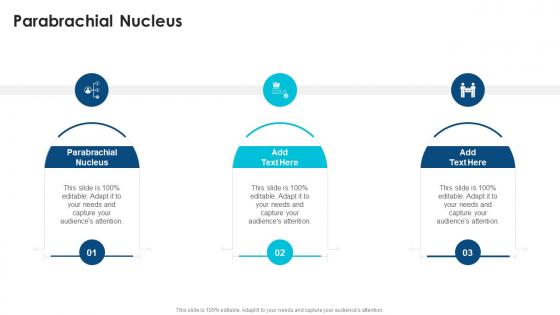 Parabrachial Nucleus In Powerpoint And Google Slides Cpb