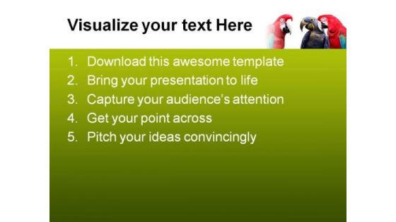 Parrot Meeting Animals PowerPoint Themes And PowerPoint Slides 0611