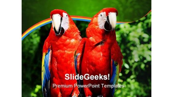 Parrots Animals PowerPoint Template 0910