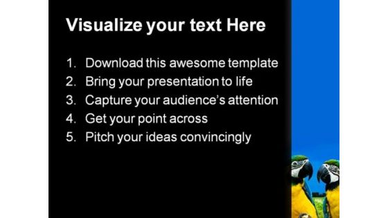 Parrots In Love Beauty PowerPoint Themes And PowerPoint Slides 0211