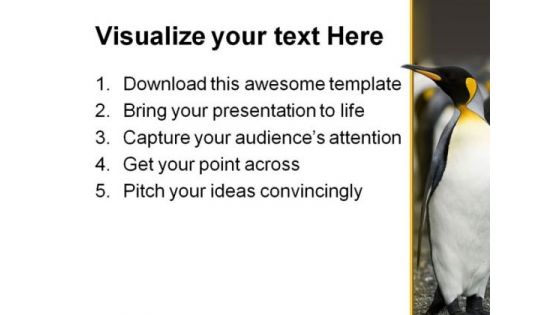 Penguin Animal PowerPoint Template 0810