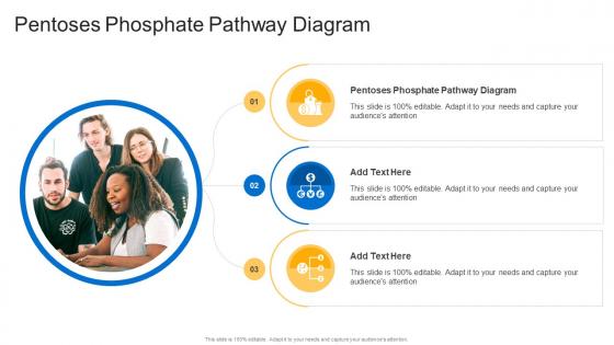 Pentoses Phosphate Pathway Diagram In Powerpoint And Google Slides Cpb Pentoses Phosphate Pathway Diagram In Powerpoint And Google Slides Cpb