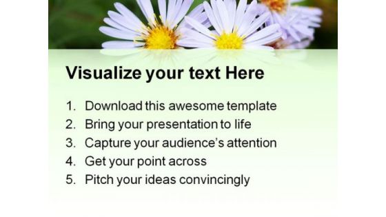 Perennial Aster Flowers Nature PowerPoint Templates And PowerPoint Backgrounds 0211