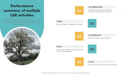 Performance Summary Of Multiple CSR Activities Customer Segmentation Download Pdf Performance Summary Of Multiple CSR Activities Customer Segmentation Download Pdf