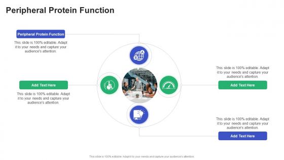 Peripheral Protein Function In Powerpoint And Google Slides Cpb