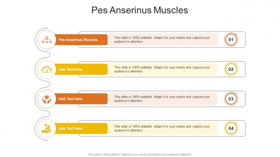 Pes Anserinus Muscles In Powerpoint And Google Slides Cpb