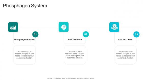 Phosphagen System In Powerpoint And Google Slides Cpb Phosphagen System In Powerpoint And Google Slides Cpb
