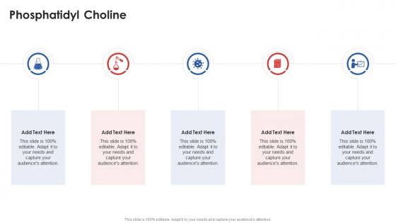 Phosphatidyl Choline In Powerpoint And Google Slides Cpb Phosphatidyl Choline In Powerpoint And Google Slides Cpb