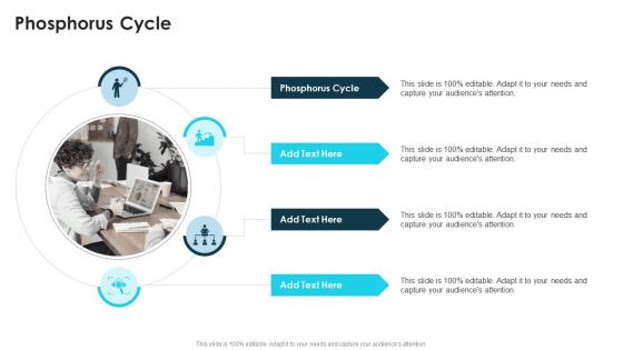 Phosphorus Cycle In Powerpoint And Google Slides Cpb