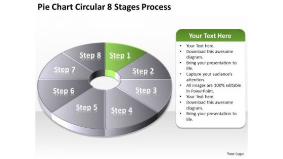 Pie Chart Circular 8 Stages Process Example Of Small Business Plan PowerPoint Slides