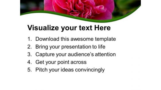 Pink Blooming Flower Nature PowerPoint Templates Ppt Backgrounds For Slides 0513