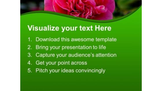 Pink Blooming Flower Nature PowerPoint Templates Ppt Backgrounds For Slides 0513