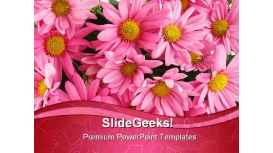 Pink Daisy Beauty PowerPoint Template 0910