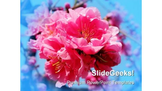 Pink Explosion Beauty PowerPoint Templates And PowerPoint Backgrounds 0311