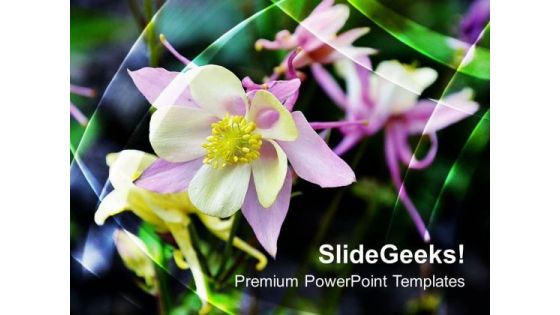 Pink Flower With Leaves PowerPoint Templates Ppt Backgrounds For Slides 0613