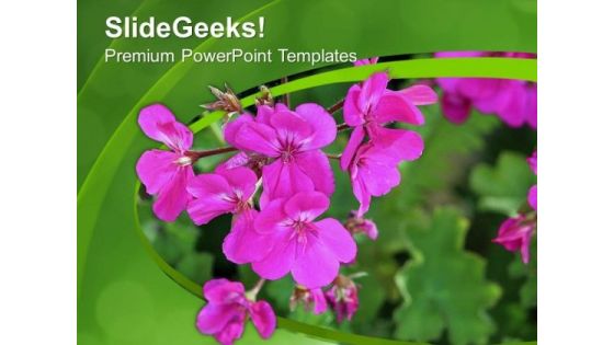 Pink Geranium Flower With Green Background PowerPoint Templates Ppt Backgrounds For Slides 0613
