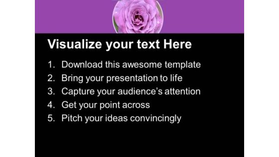 Pink Rose Beauty Of Nature PowerPoint Templates Ppt Backgrounds For Slides 0513