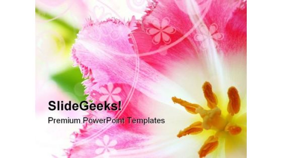 Pink Tulip Nature PowerPoint Themes And PowerPoint Slides 0211